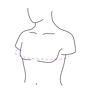 измерьте обхват груди
